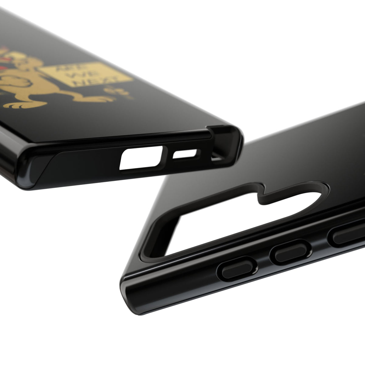 Angry Cat Phone Case — 'Are We Next' Protest Graphic iPhone Case