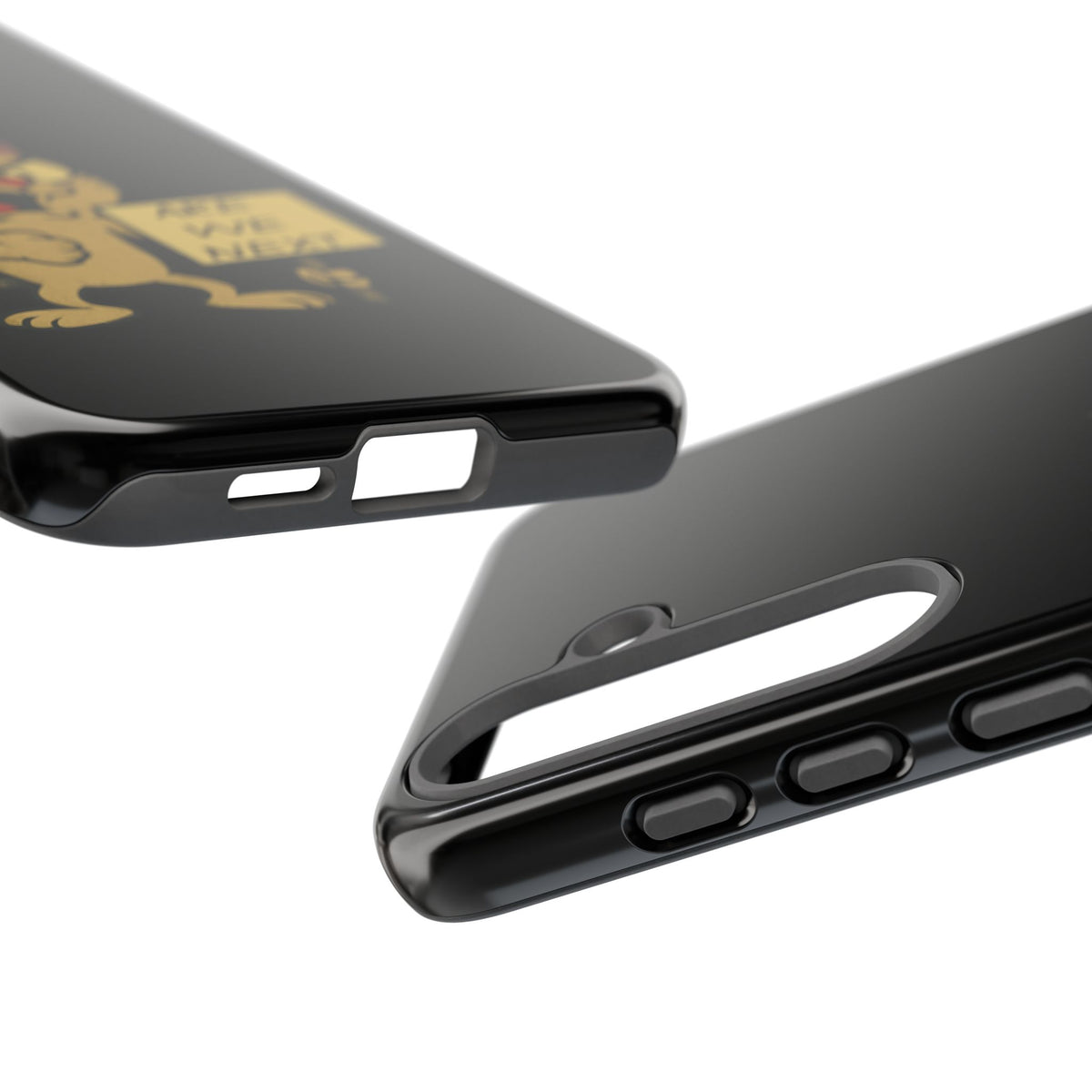 Angry Cat Phone Case — 'Are We Next' Protest Graphic iPhone Case