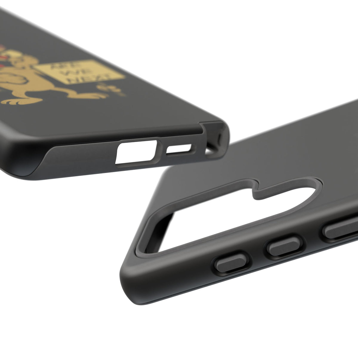 Angry Cat Phone Case — 'Are We Next' Protest Graphic iPhone Case