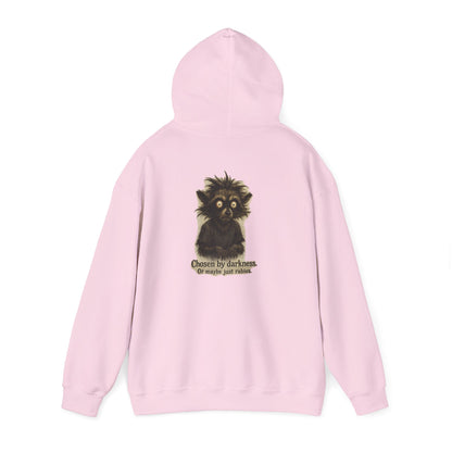 Racoon Hoodie — "Chosen by darkness, or maybe just naptime" Graphic Pullover