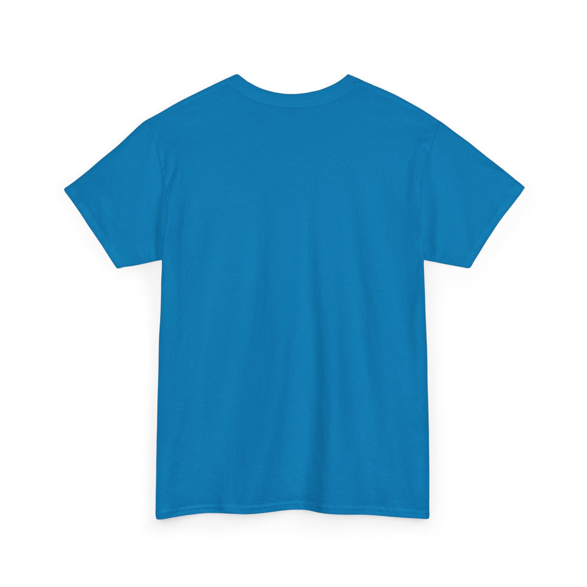 Maxipad Chaos – I Was Not Designed for This Level of Chaos T-Shirt