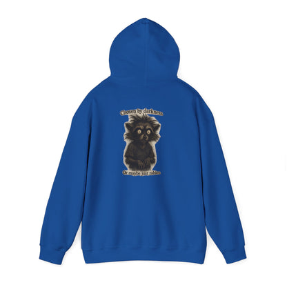 Hoodie — Cute Fluffy Black Raccoon Back Print "Or Maybe I'm Just Adorable"