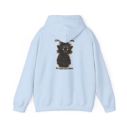 Hoodie — Cute Fluffy Black Raccoon Back Print "Or Maybe I'm Just Adorable"