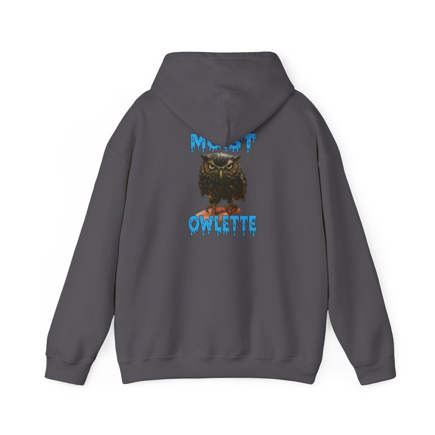 Owllette Graphic Hoodie — Retro Owl Illustration Pullover