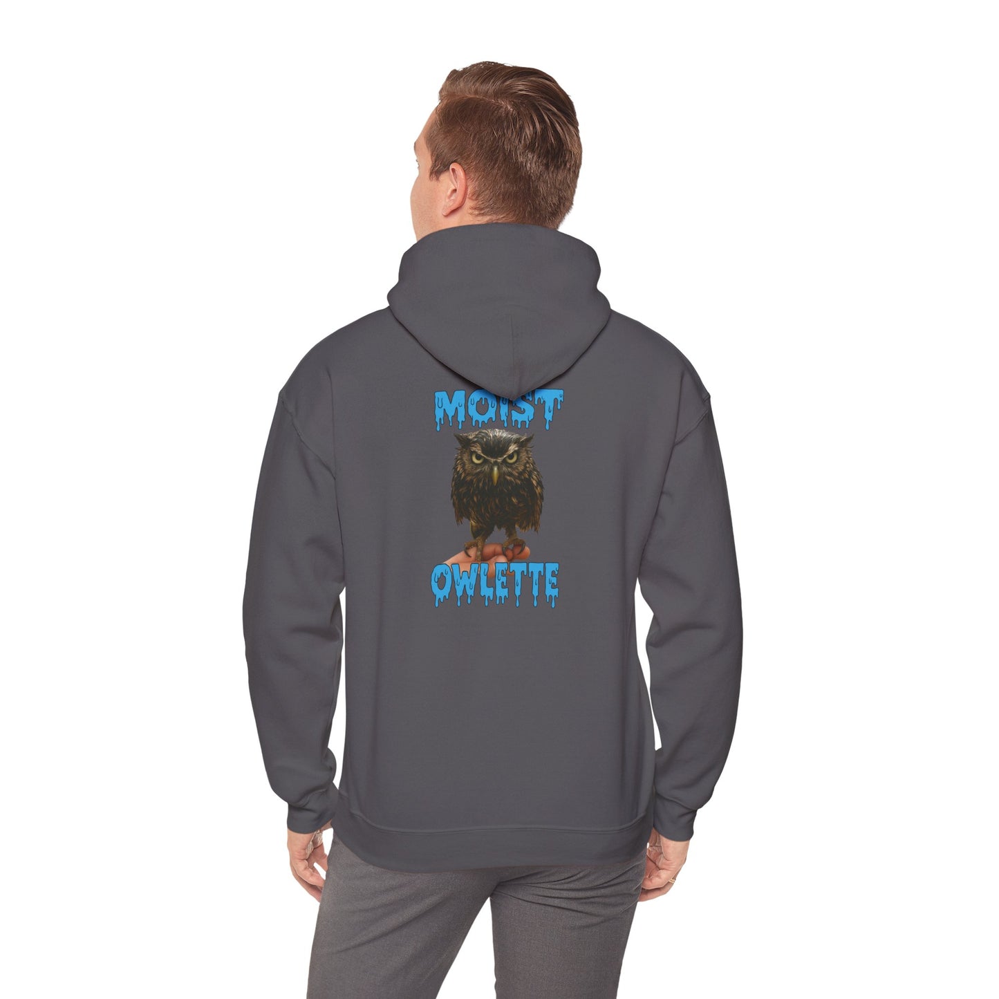 Owllette Graphic Hoodie — Retro Owl Illustration Pullover