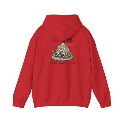 Hoodie — "If I Vanish, Tell the Pigeons I Knew" Novelty Pullover