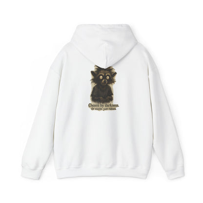 Racoon Hoodie — "Chosen by darkness, or maybe just naptime" Graphic Pullover