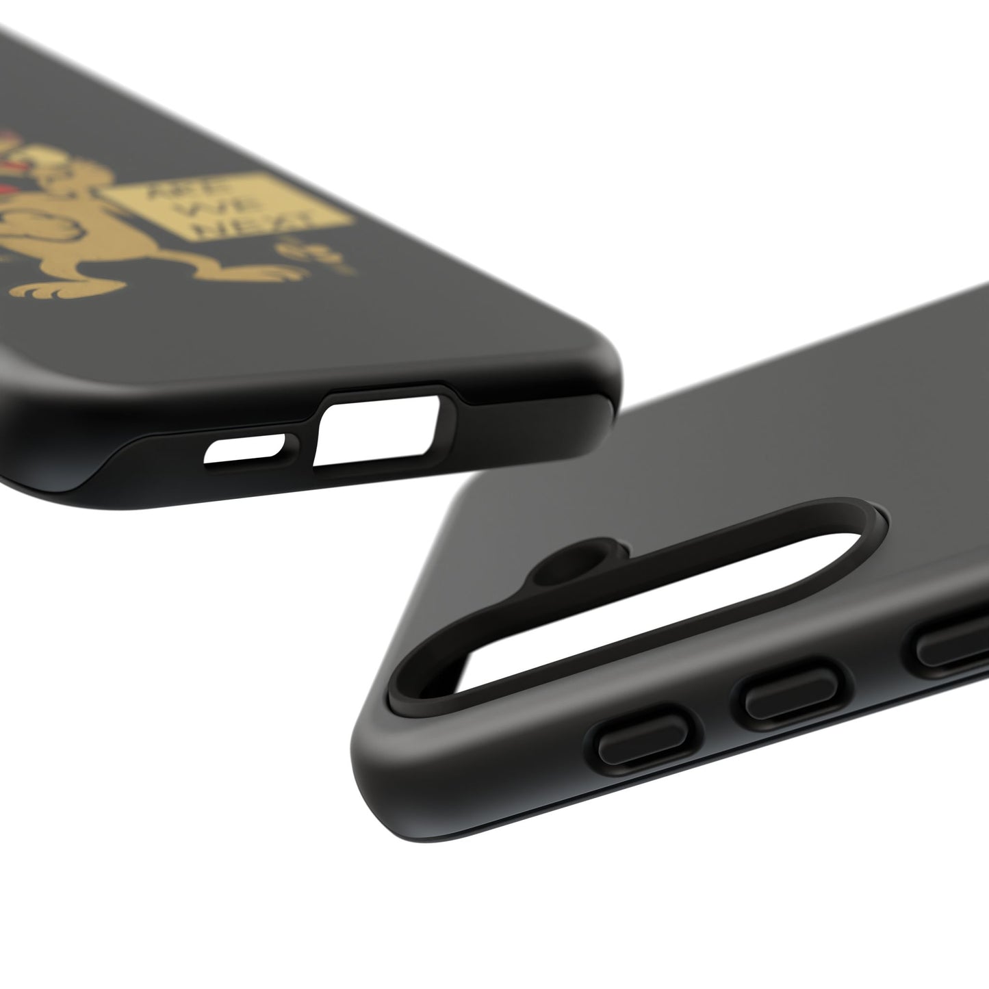 Angry Cat Phone Case — 'Are We Next' Protest Graphic iPhone Case