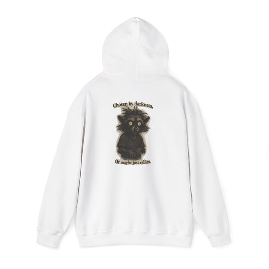 Hoodie — Cute Fluffy Black Raccoon Back Print "Or Maybe I'm Just Adorable"