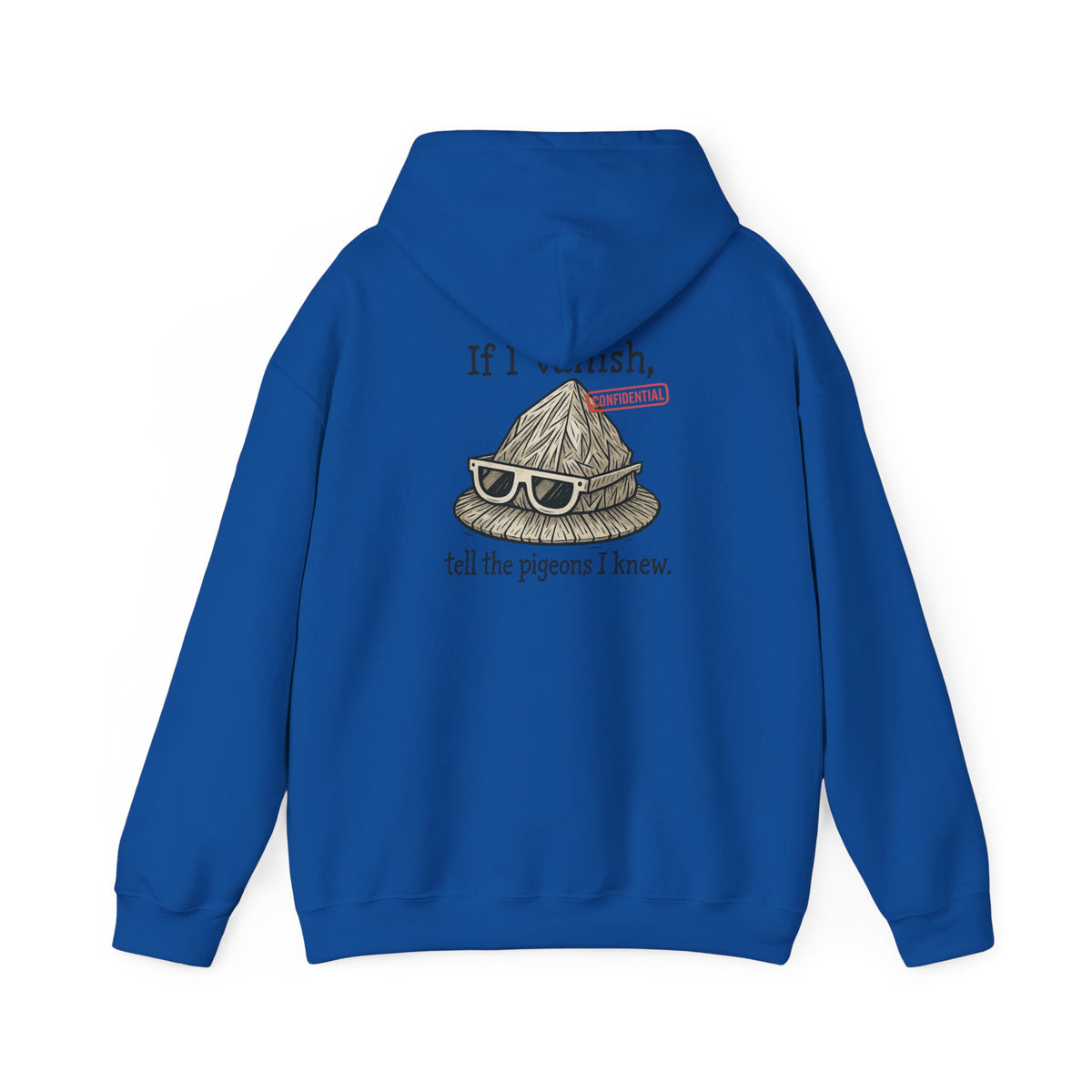 Hoodie — "If I Vanish, Tell the Pigeons I Knew" Novelty Pullover