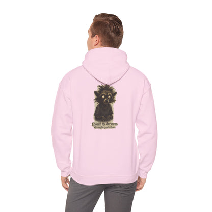 Racoon Hoodie — "Chosen by darkness, or maybe just naptime" Graphic Pullover