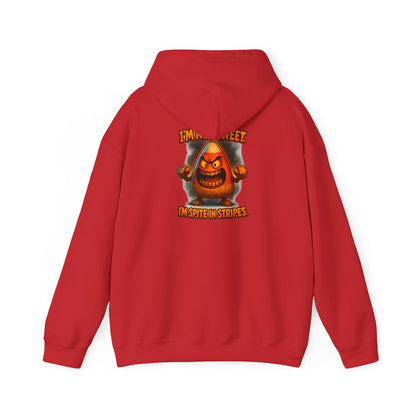 Hoodie — Angry Gnome Graphic "I'm No Gnome, In Spite of Stripes"