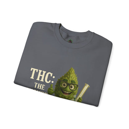 THC: The Higher Curriculum – Stoner Education Sweatshirt