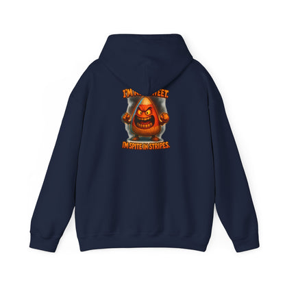 Hoodie — Angry Gnome Graphic "I'm No Gnome, In Spite of Stripes"