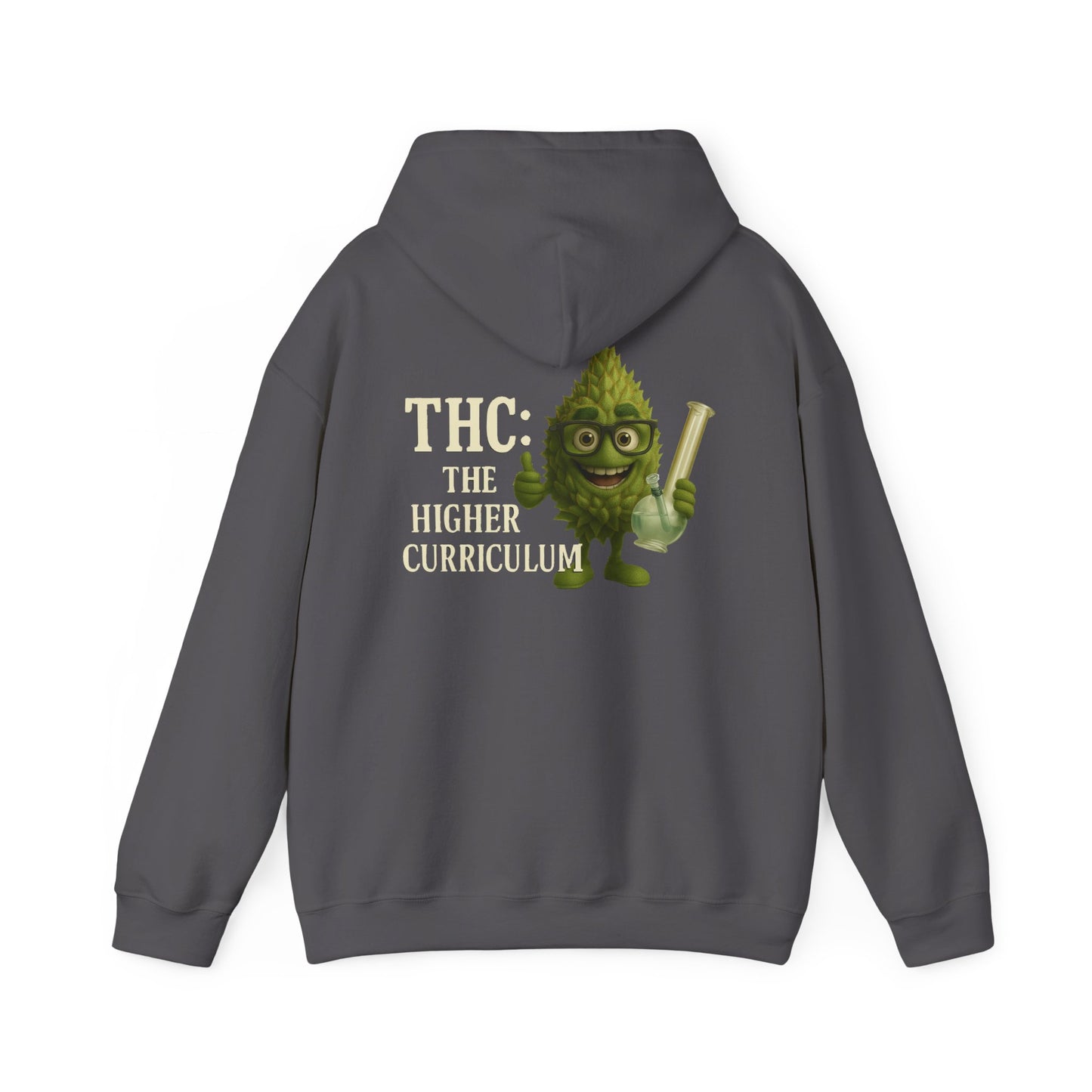 THC: The Higher Curriculum Hoodie