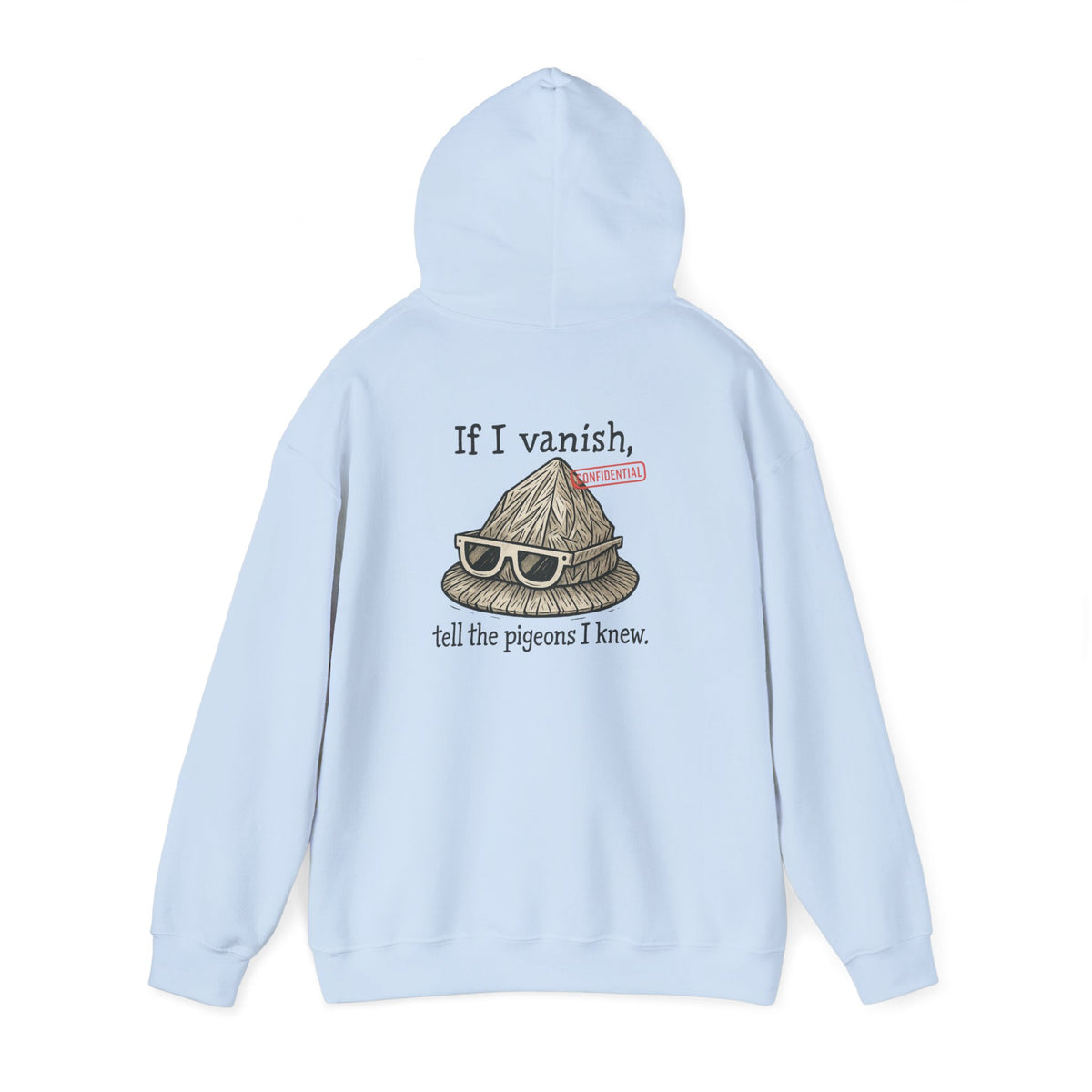 Hoodie — "If I Vanish, Tell the Pigeons I Knew" Novelty Pullover