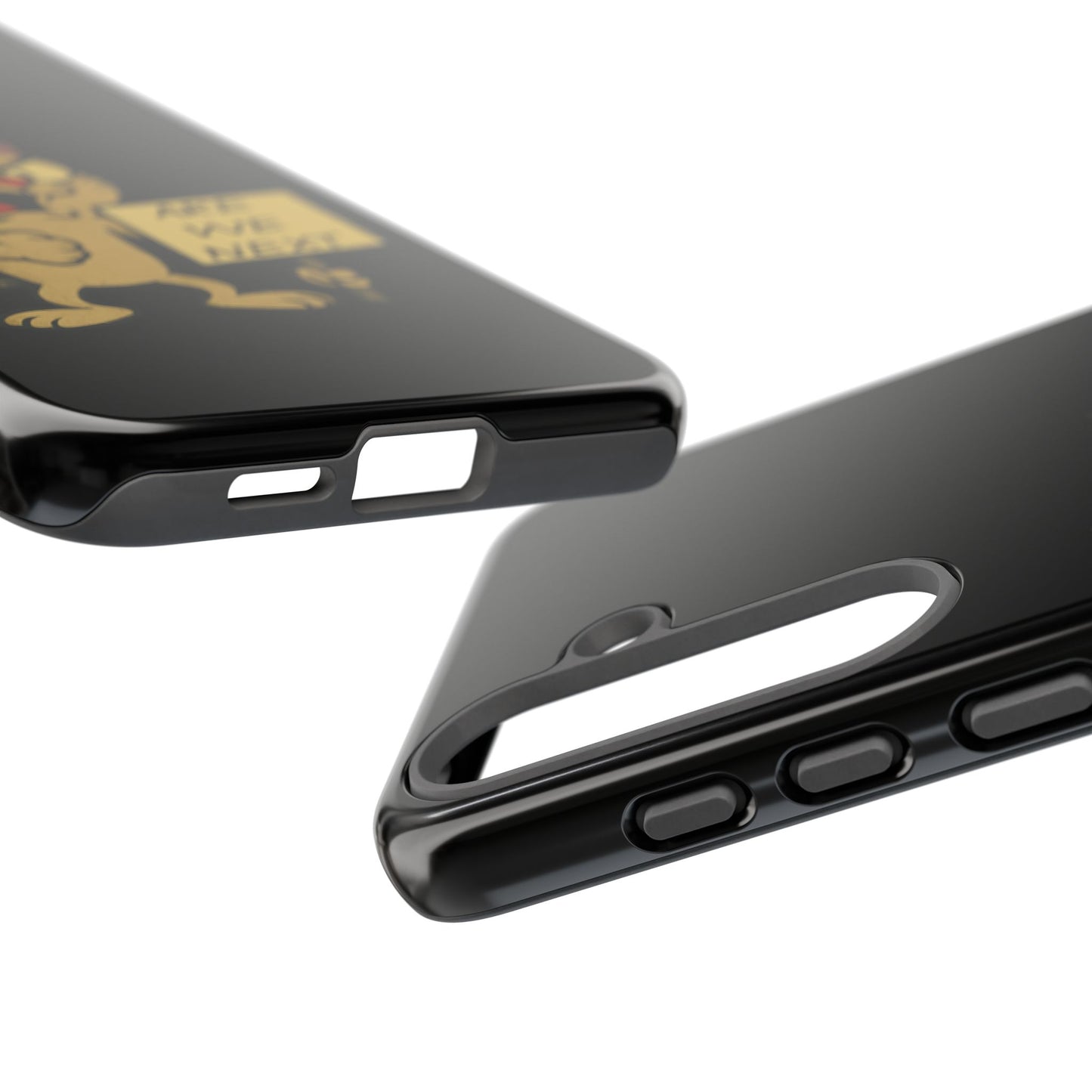 Angry Cat Phone Case — 'Are We Next' Protest Graphic iPhone Case