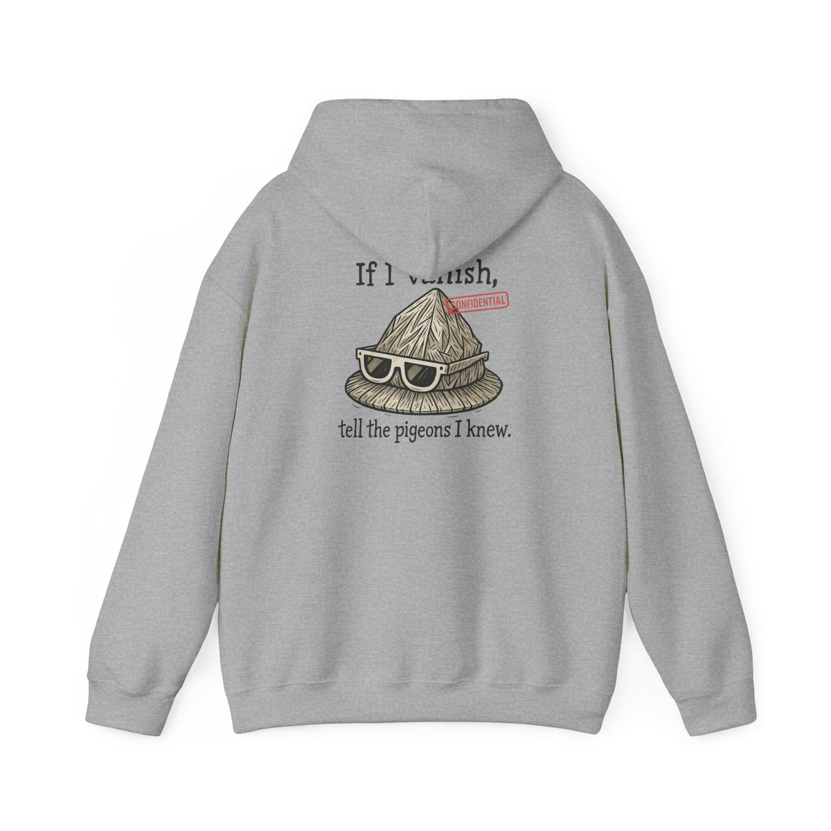 Hoodie — "If I Vanish, Tell the Pigeons I Knew" Novelty Pullover